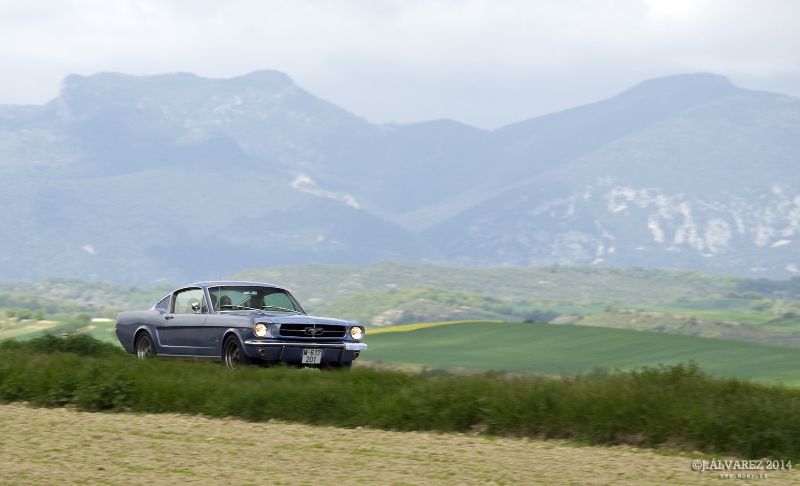 1_cabalgada-mustangs-2014-040.jpg