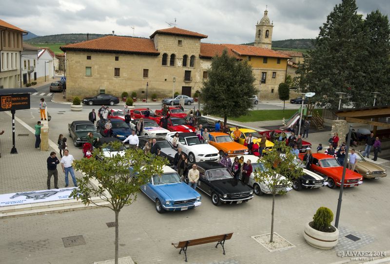 1_cabalgada-mustangs-2014-049.jpg