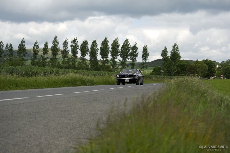 1_cabalgada-mustangs-2014-053.jpg