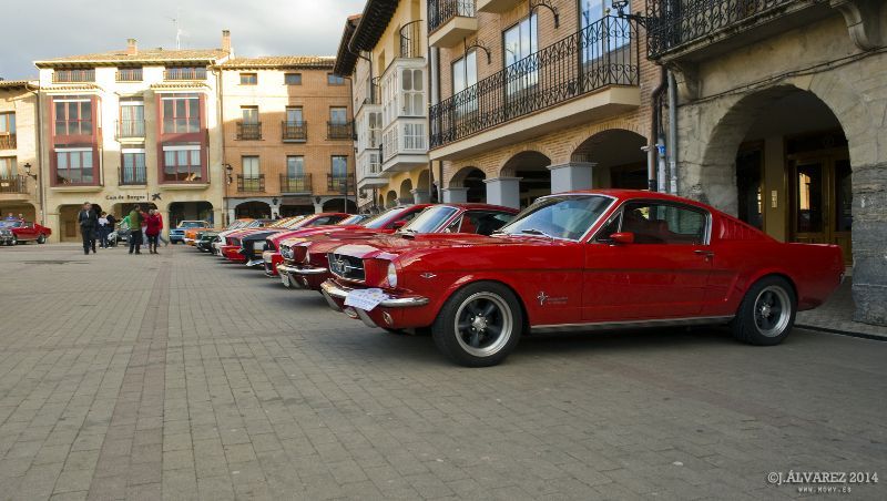 2_cabalgada-mustangs-2014-021.jpg