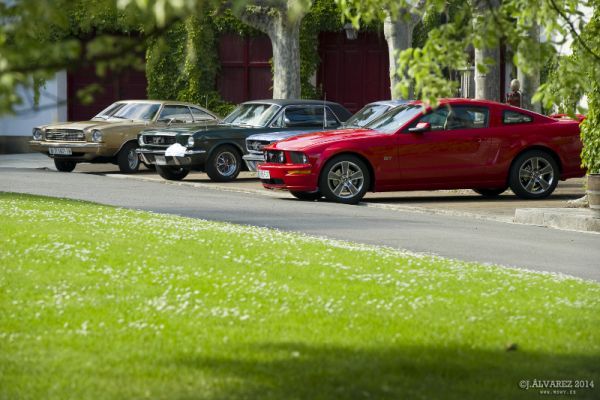 1_cabalgada-mustangs-2014-006