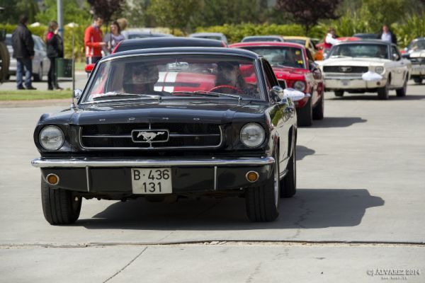 1_cabalgada-mustangs-2014-007