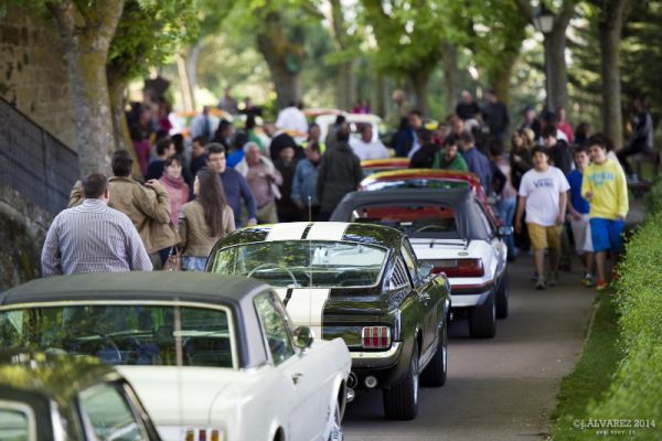 1_cabalgada-mustangs-2014-015