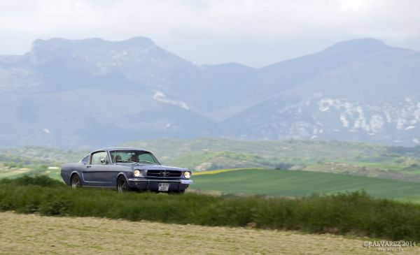 1_cabalgada-mustangs-2014-040