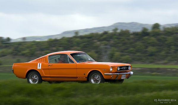 1_cabalgada-mustangs-2014-041