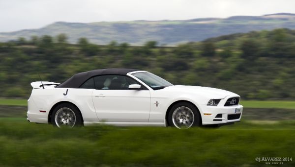 1_cabalgada-mustangs-2014-042