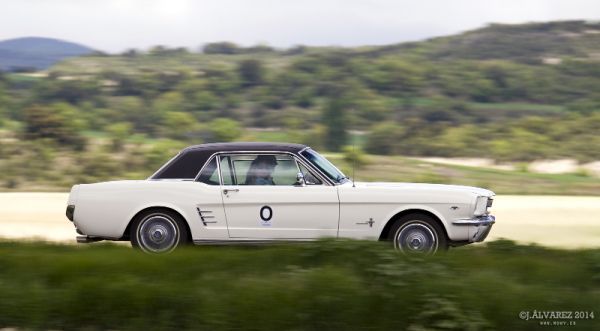 1_cabalgada-mustangs-2014-043