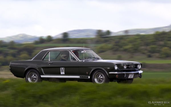 1_cabalgada-mustangs-2014-045