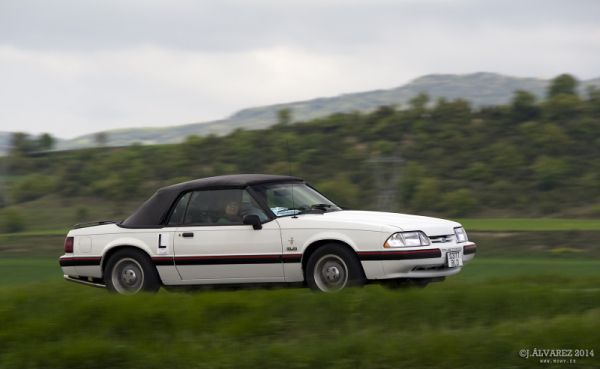 1_cabalgada-mustangs-2014-046