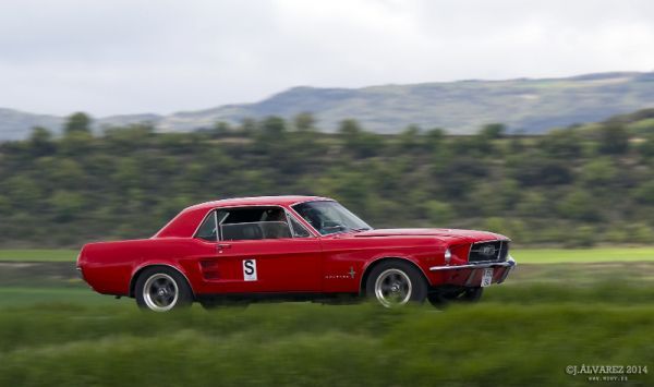 1_cabalgada-mustangs-2014-047