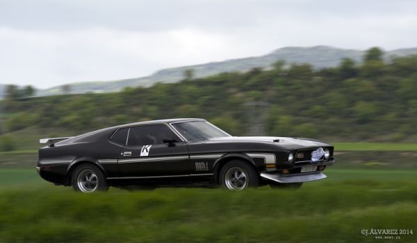 1_cabalgada-mustangs-2014-048