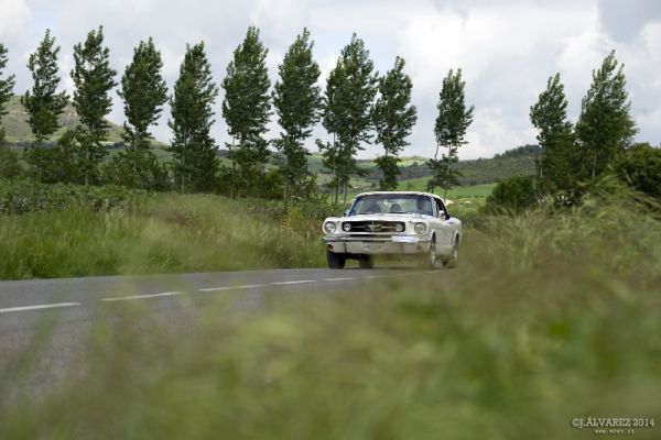 1_cabalgada-mustangs-2014-052