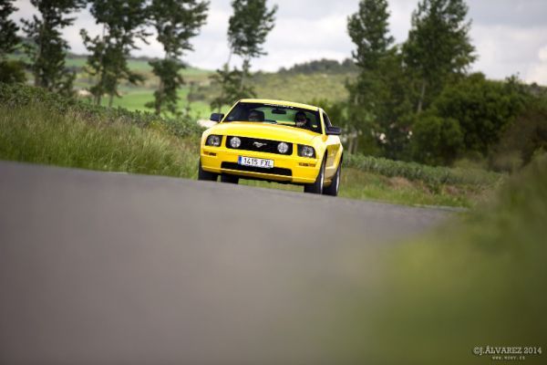 1_cabalgada-mustangs-2014-054