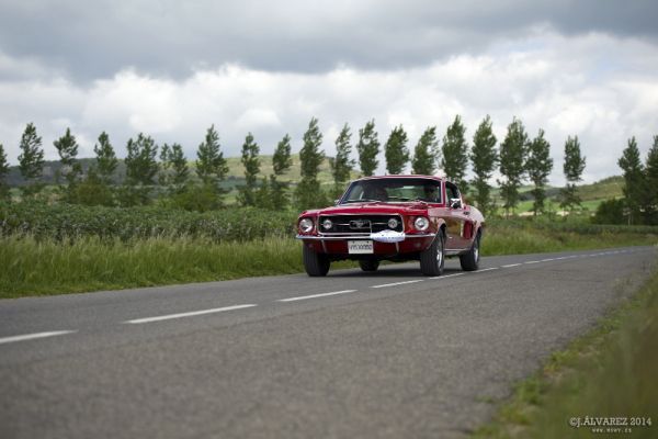 1_cabalgada-mustangs-2014-055