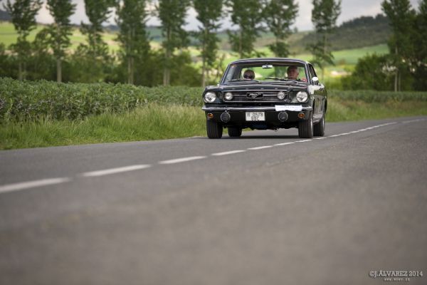 1_cabalgada-mustangs-2014-057