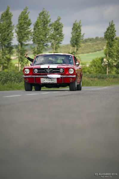 1_cabalgada-mustangs-2014-058
