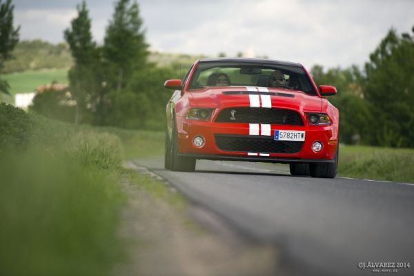 1_cabalgada-mustangs-2014-059