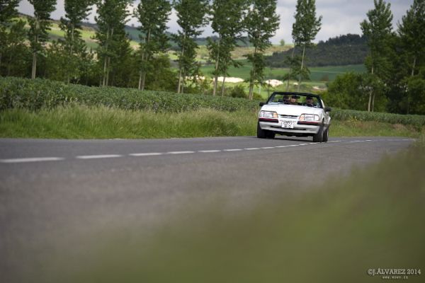 1_cabalgada-mustangs-2014-060