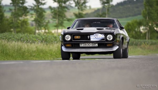 1_cabalgada-mustangs-2014-061