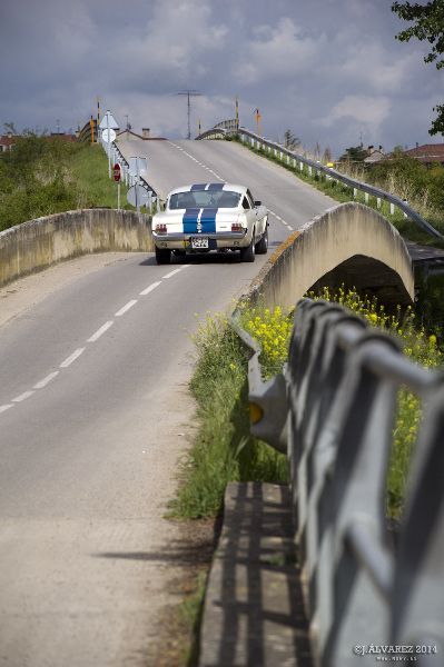1_cabalgada-mustangs-2014-062