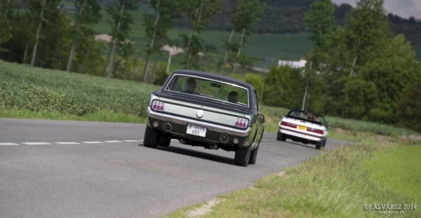 1_cabalgada-mustangs-2014-063