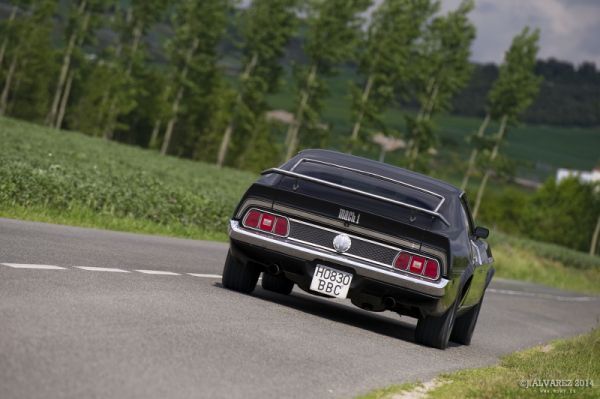 1_cabalgada-mustangs-2014-064