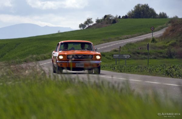 1_cabalgada-mustangs-2014-065