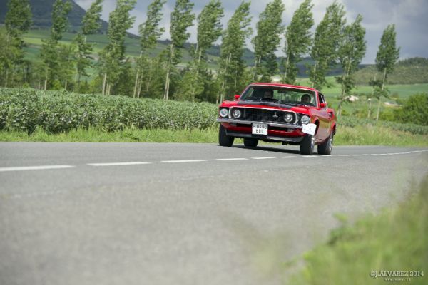 1_cabalgada-mustangs-2014-066