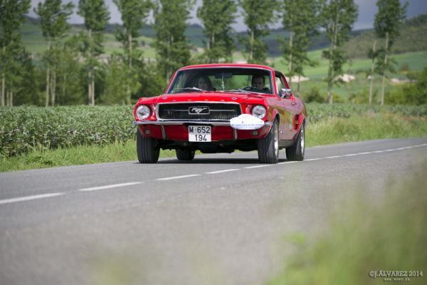 1_cabalgada-mustangs-2014-067