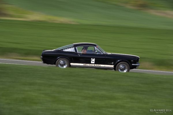 1_cabalgada-mustangs-2014-068