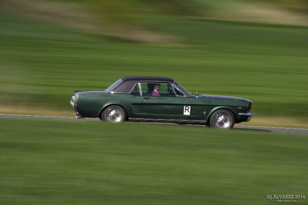 1_cabalgada-mustangs-2014-069