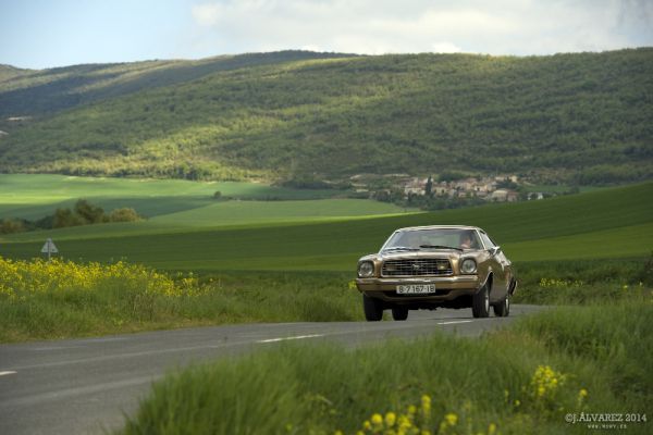 1_cabalgada-mustangs-2014-070