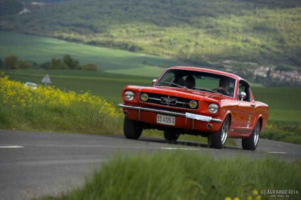 1_cabalgada-mustangs-2014-071