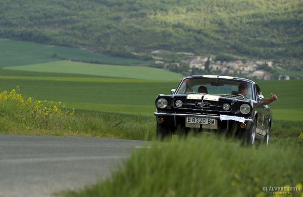 1_cabalgada-mustangs-2014-075
