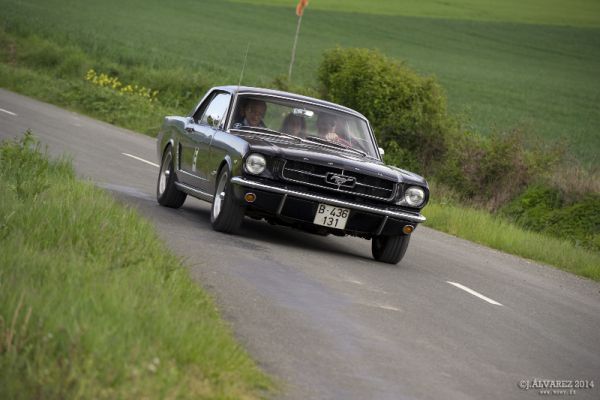 1_cabalgada-mustangs-2014-077