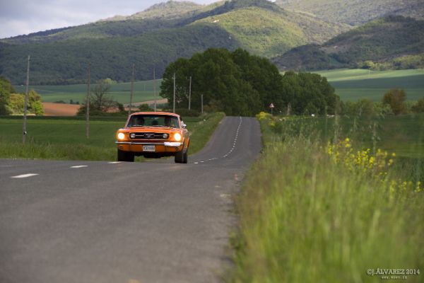1_cabalgada-mustangs-2014-079