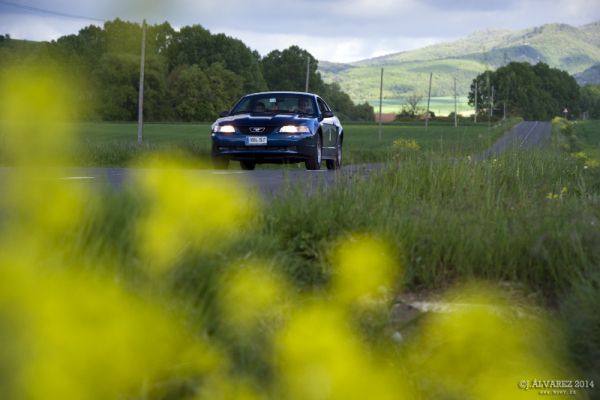 1_cabalgada-mustangs-2014-080
