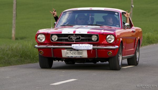 1_cabalgada-mustangs-2014-081