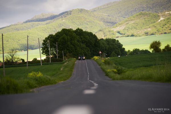1_cabalgada-mustangs-2014-082