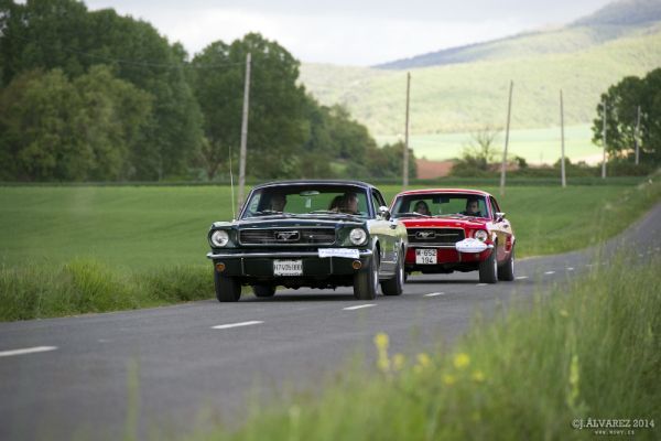 1_cabalgada-mustangs-2014-083