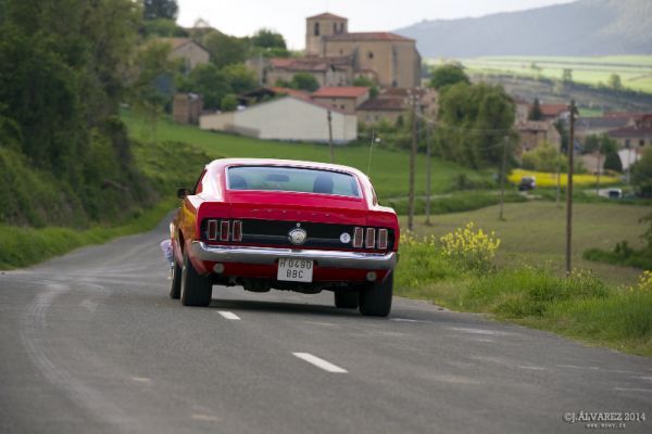 1_cabalgada-mustangs-2014-084