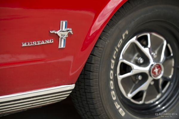 1_cabalgada-mustangs-2014-detalles-003