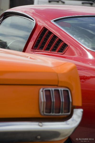 1_cabalgada-mustangs-2014-detalles-004