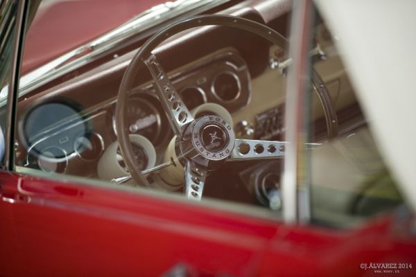 1_cabalgada-mustangs-2014-detalles-005