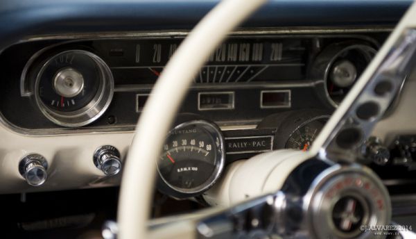 1_cabalgada-mustangs-2014-detalles-07