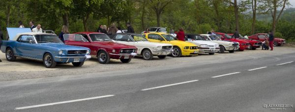 1_cabalgada-mustangs-2014-panoramica-003