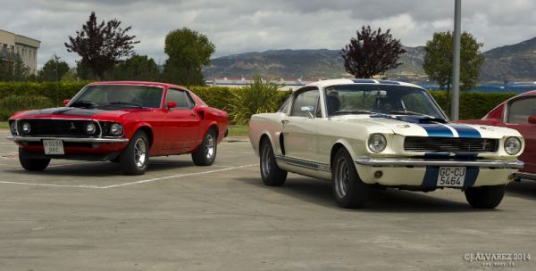 2_cabalgada-mustangs-2014-001