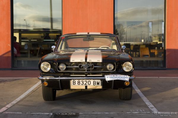 2_cabalgada-mustangs-2014-002