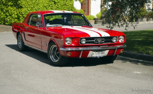 2_cabalgada-mustangs-2014-004