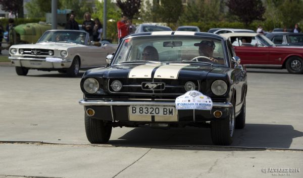2_cabalgada-mustangs-2014-008